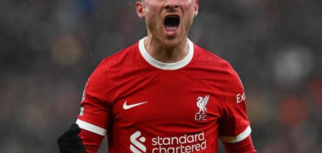 ماك أليستير: ندرك أهمية هذا الأمر، وكنا نستطيع تسجيل المزيد